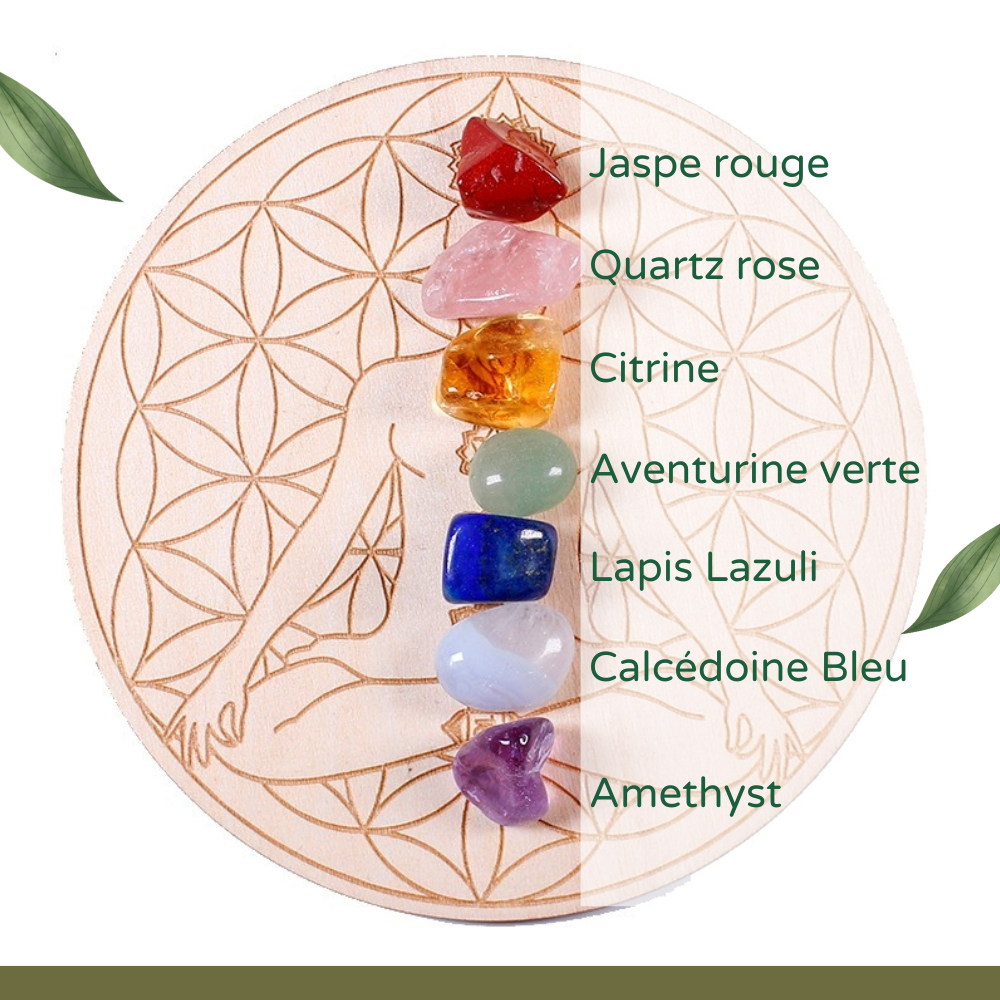 Fleure de Vie et 7 Pierre Chackras Pour Recharger les Pierres