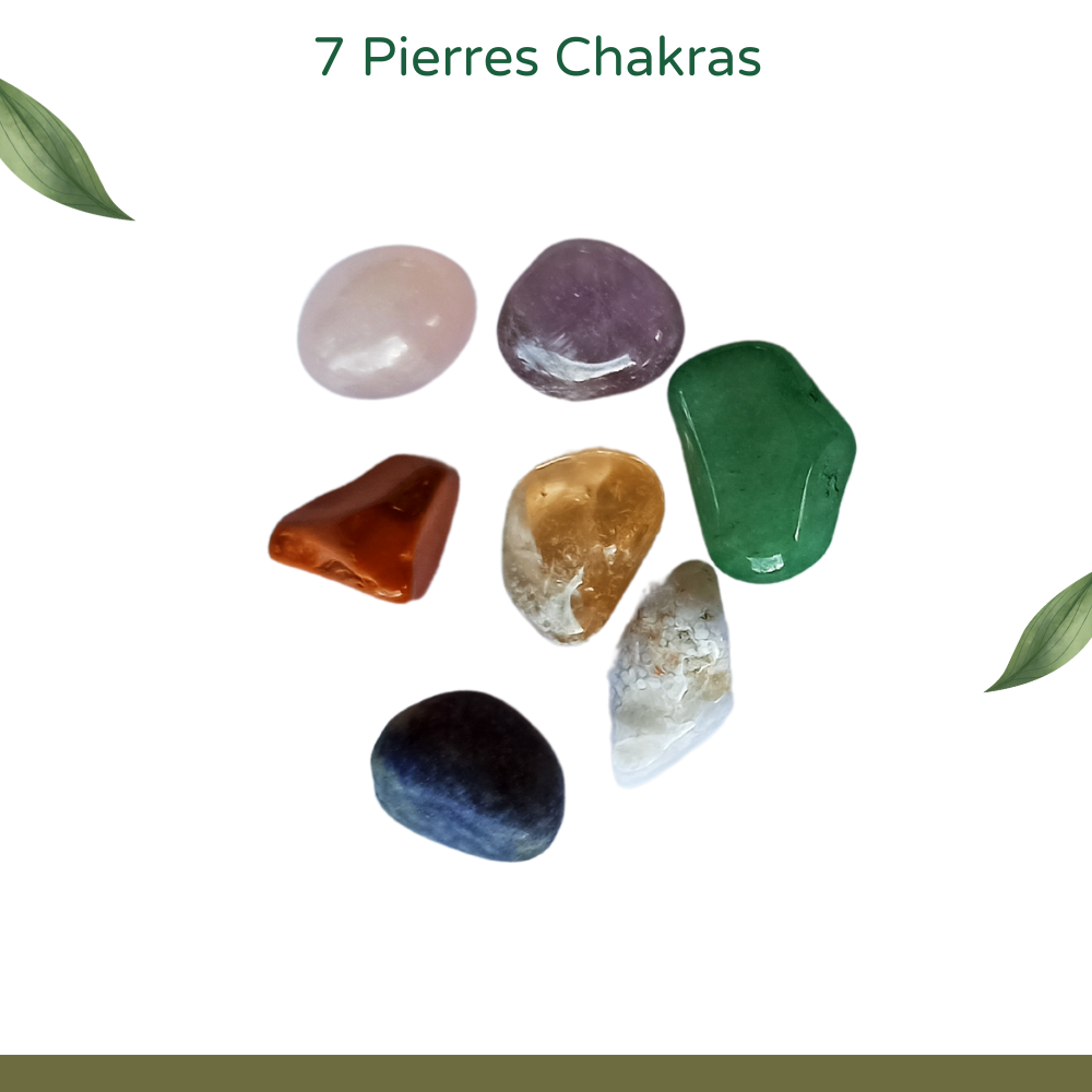 Fleure de Vie et 7 Pierre Chackras Pour Recharger les Pierres